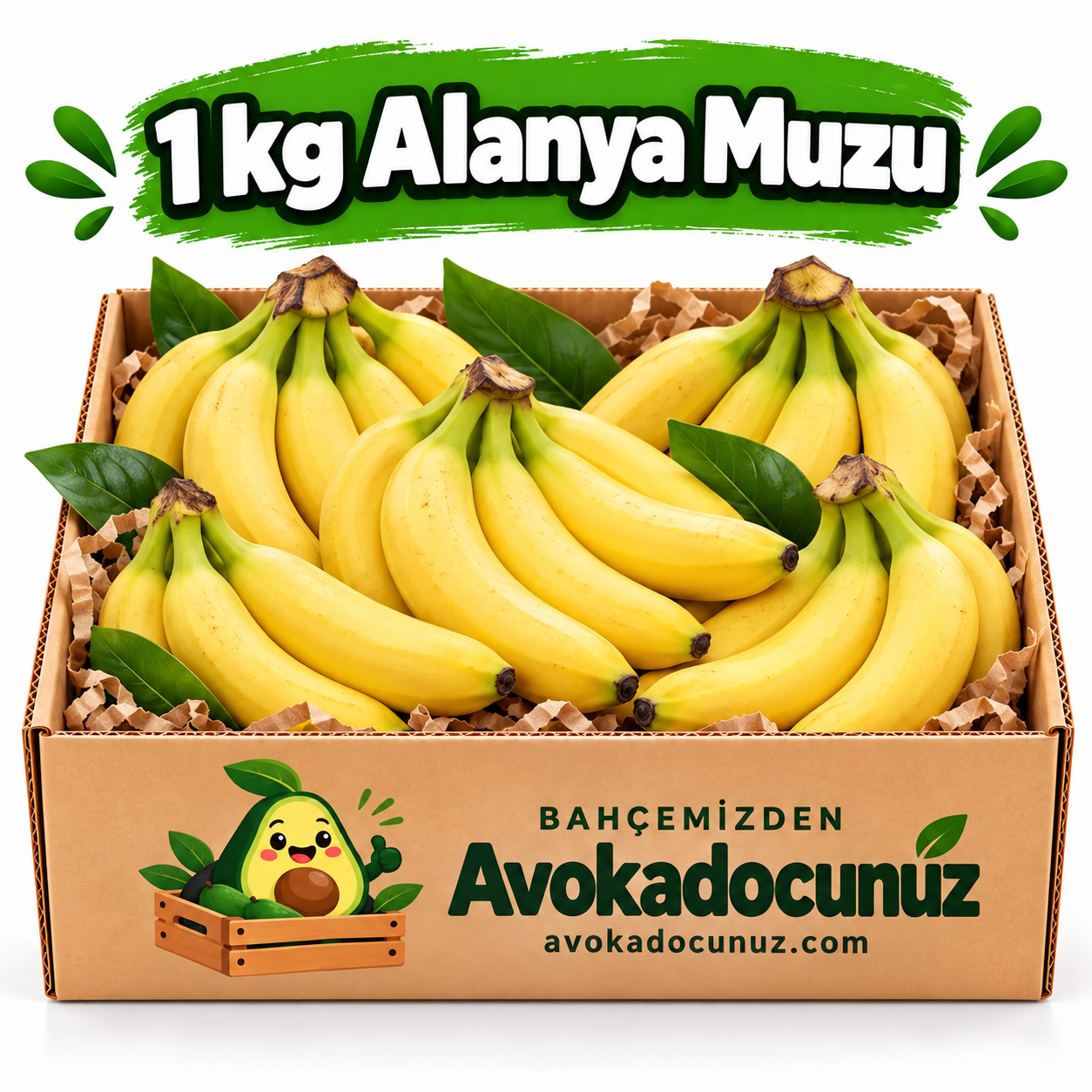Alanya Muzu